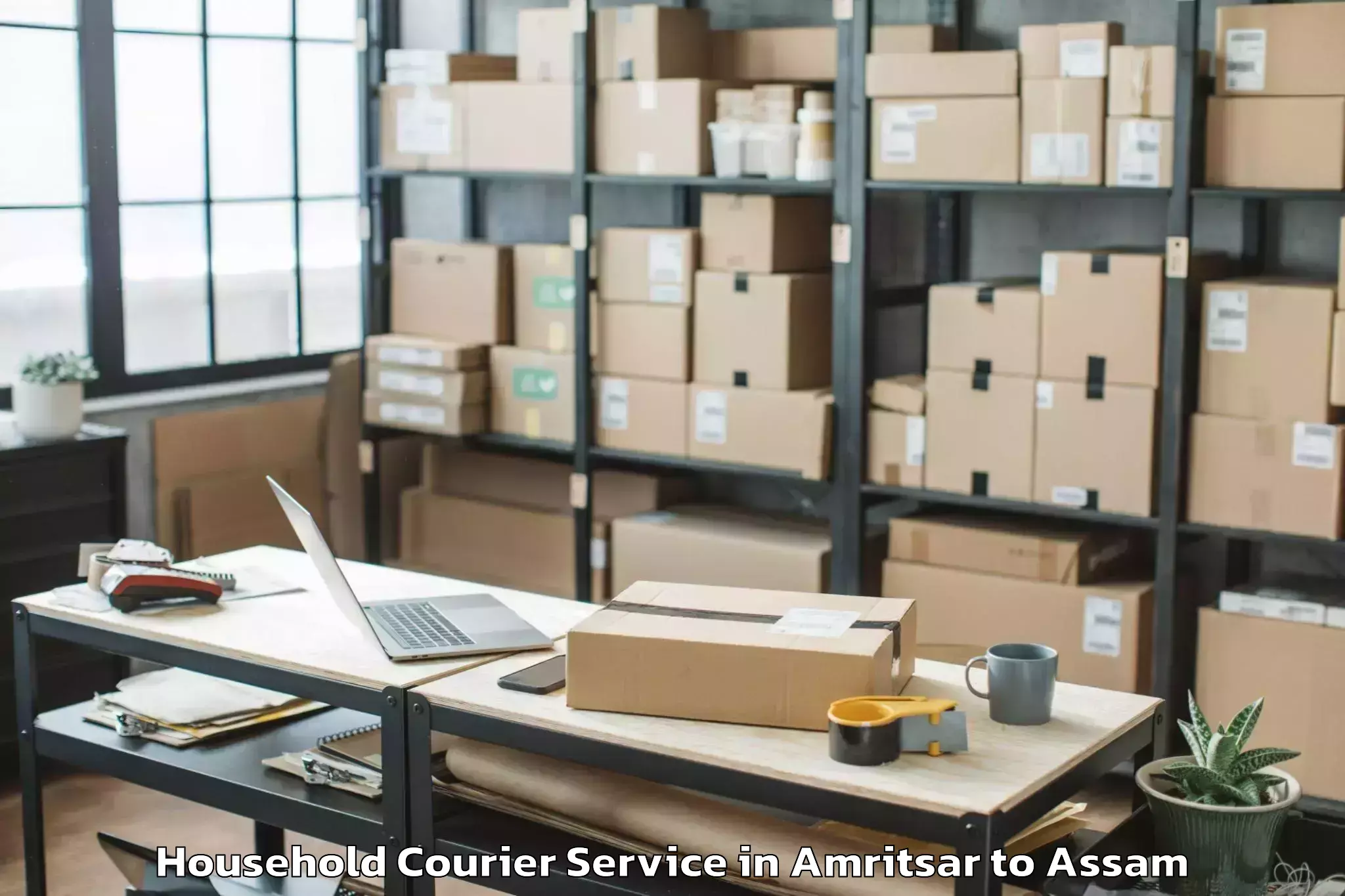 Quality Amritsar to Abhilashi University Sivasagar Household Courier